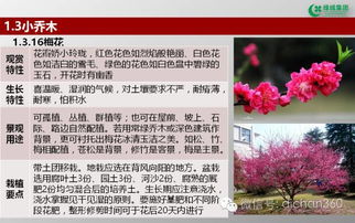 綠城集團園林軟景苗木圖譜 全套